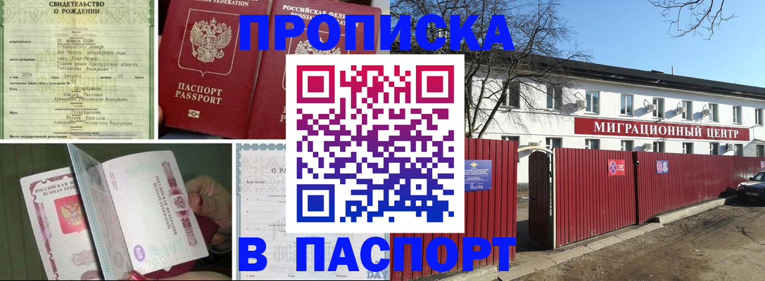 регистрация в Щёлково